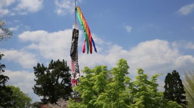 Zenrin-ji sazan balık fenerler