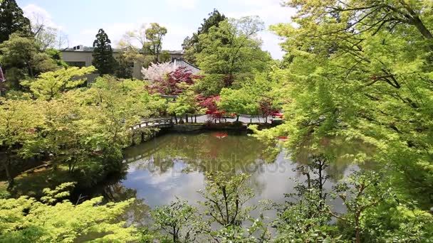 Zenrin-ji temple Кіото — стокове відео