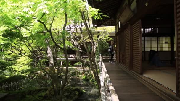 Eikando Zenrin-ji Kyoto — Stock Video