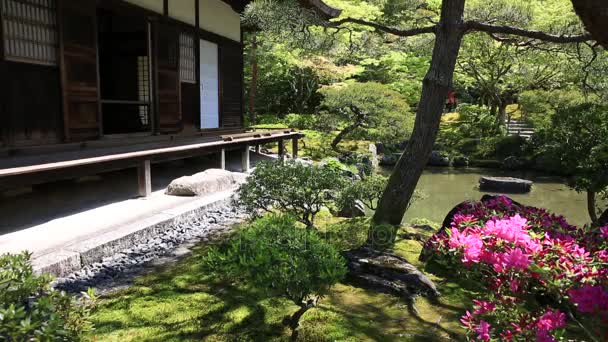 Porche de Ginkaku templo de ji — Vídeo de stock