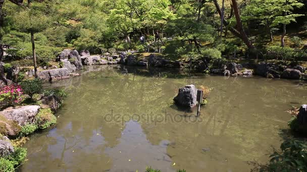 Lago de Quioto Ginkaku-ji — Vídeo de Stock