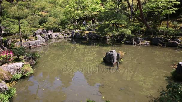 Danau Ginkaku-ji Kyoto — Stok Video