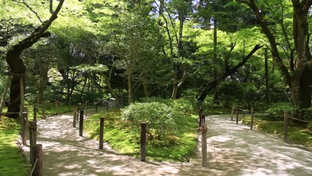 Ginkakuji tempel pad — Stockvideo