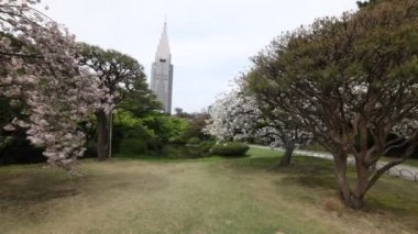 Shinjuku gyoen Ulusal Bahçe