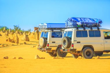 Toyota Land Cruiser Wa