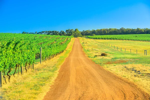 Wine Region Australia