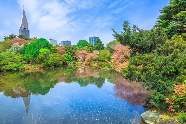 Jardim japonês em Shinjuku — Fotografia de Stock