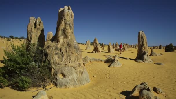 Pinakels woestijn genieten van — Stockvideo