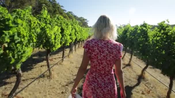 Frau in australischem Weinberg — Stockvideo