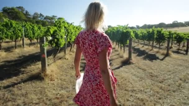 Farmář v australské vinice