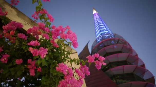 Bell Tower blommor — Stockvideo