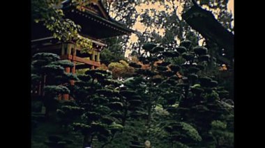 San Francisco çay bahçesi