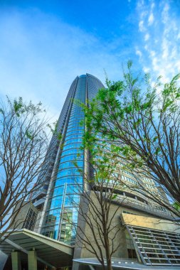 Mori Tower Tokyo