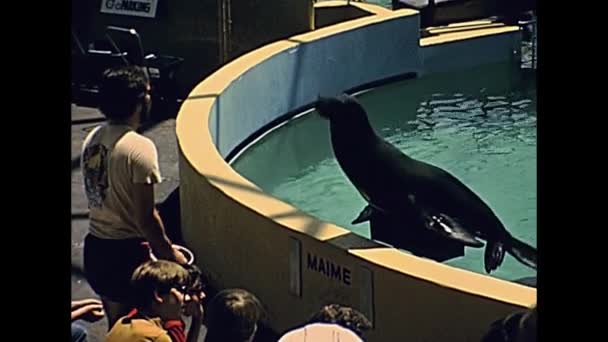Шоу "Морской аквариум Майами 1970-х" — стоковое видео