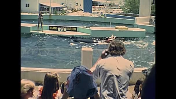 Miami Seaquarium orka 's — Stockvideo