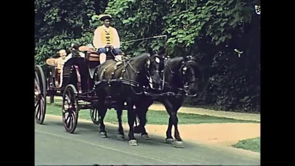 Colonial Williamsburg horse chariots — Stock Video
