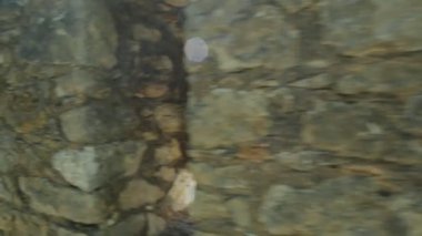 Tomar çapraz ok döngü