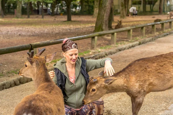 Woman touches wild deer — Stock Photo, Image