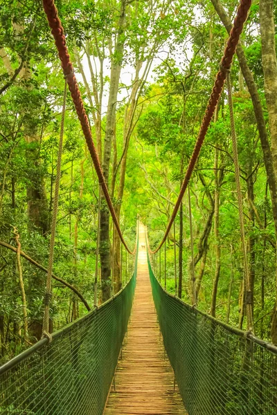 Puente de madera cuerda — Foto de Stock