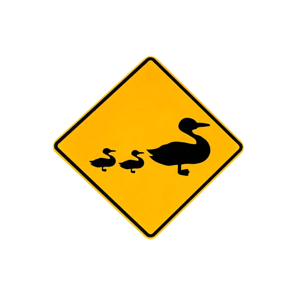 Duck warning sign — Stock Photo, Image