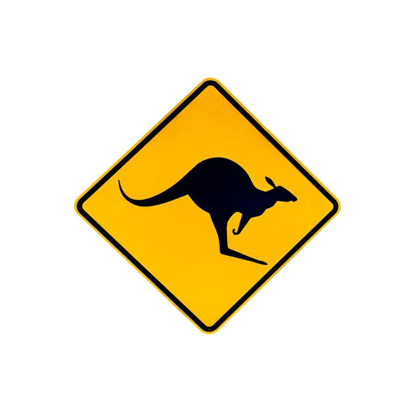 Kangoeroe waarschuwingsbord — Stockfoto