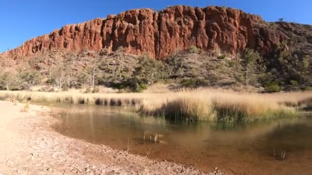 Glen helen gorge reflektieren — Stockvideo