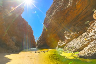 Simpsonlar su birikintisi