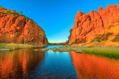 Finke Nehri 'ndeki Glen Helen Gorge