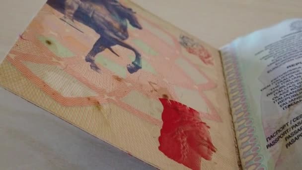 Italian passport close up — Stock Video