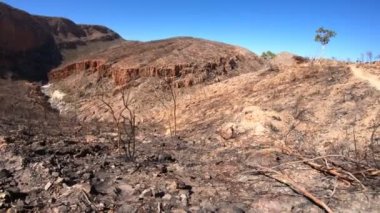 Ormiston Gorge Hayalet Sakız Yürüyüşü