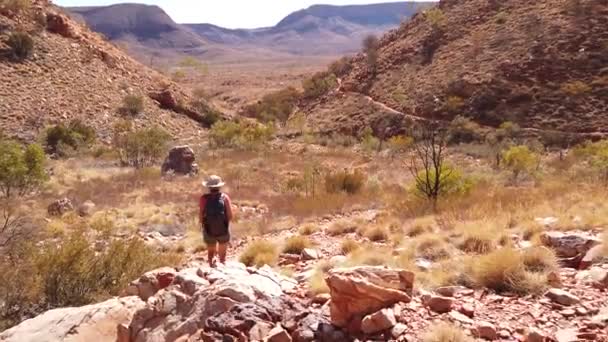 Turismo a MacDonnell Ranges — Video Stock