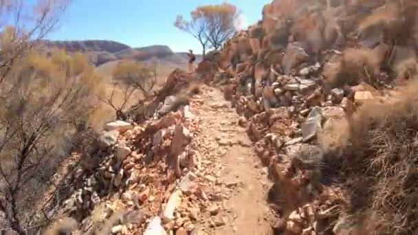 Mulher caminhadas Ormiston Pound Walk — Vídeo de Stock