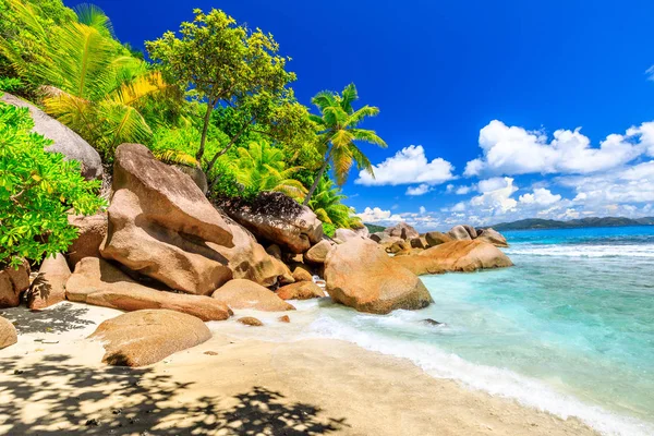 Glückliche Insel Seychellen — Stockfoto