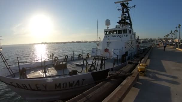 Sea Shepherd Farley Mowat cutter — Stock Video