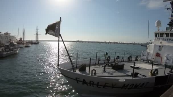 Farley Mowat ship by Sea Shepherd — Stock Video