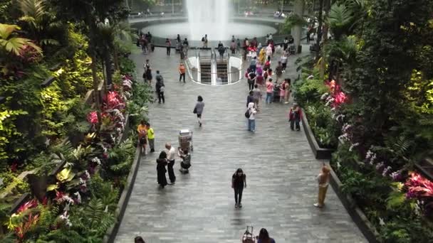 Yağmur Girdabı Şelalesi Singapur — Stok video
