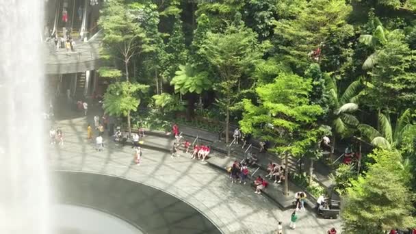 Cascada de lluvia Vortex Singapur — Vídeos de Stock