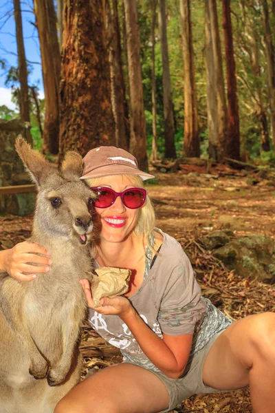 Woman feeding kangaroo — Stock Photo, Image