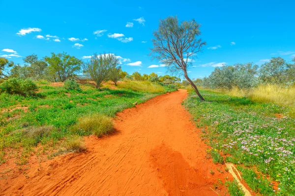 Orta Avustralya 'daki Kırmızı Merkez
