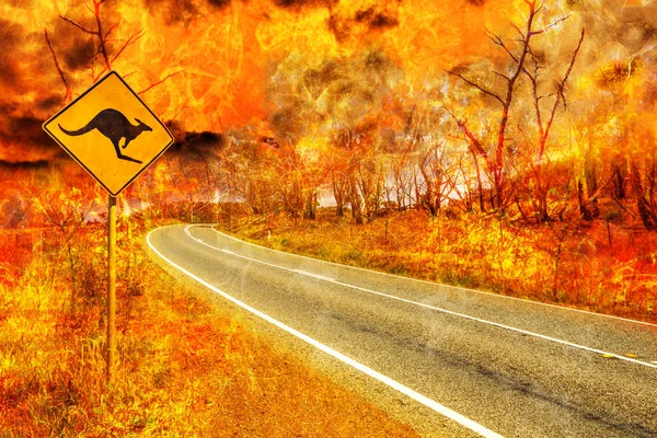 Bushfires in Australia — Stock Photo, Image