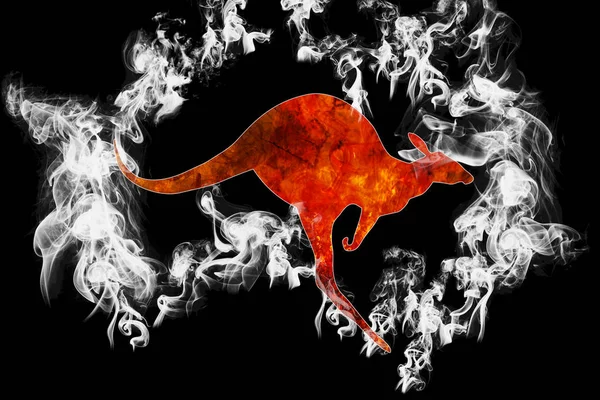 Kängurus retten australische Brände — Stockfoto