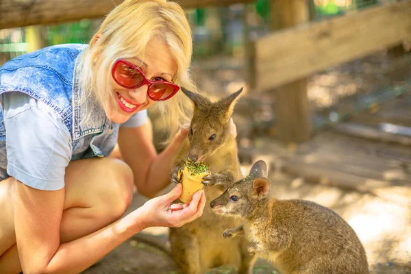 Mujer alimentación wallaby — Foto de Stock