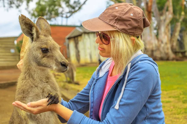 Woman with kangaroo — Stock Photo, Image