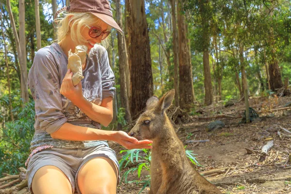 Woman with kangaroo — Stock Photo, Image