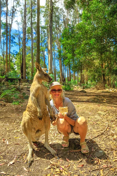 Woman with kangaroo — Stock Photo, Image