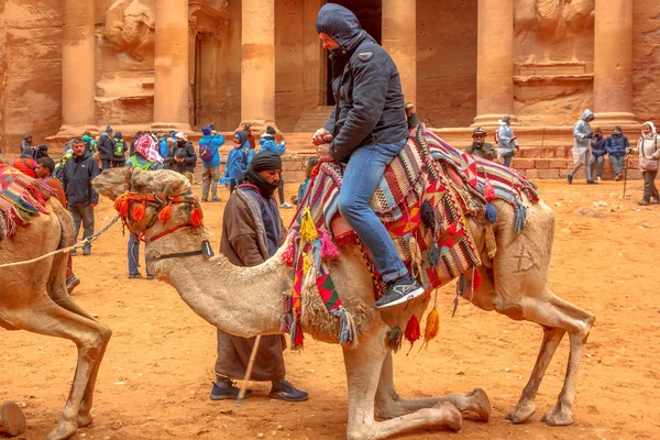 Petra chameaux Jordanie — Photo