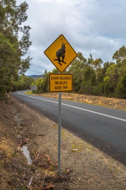 Kanguru Vahşi Yaşam Yardım Numarası