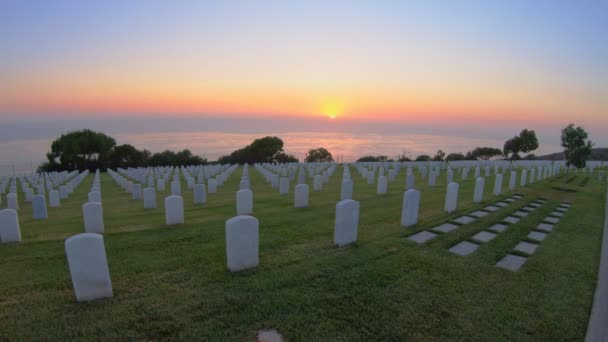 Amerikan savaş mezarlığı — Stok video