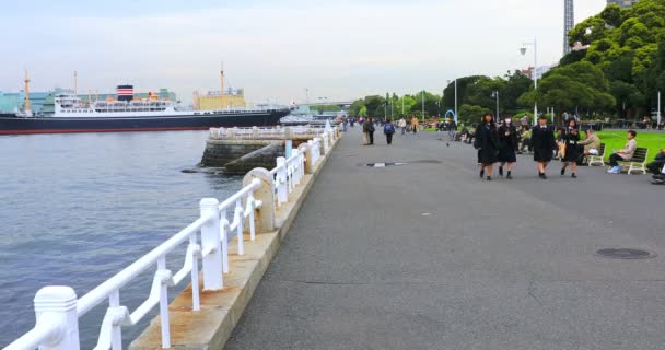 Yokohama Park vid vattnet — Stockvideo