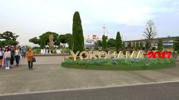 Bloemensculptuur Yokohama Park — Stockvideo